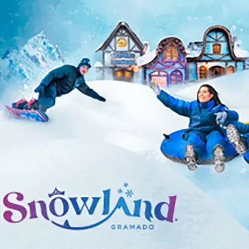 Experiência Snowland