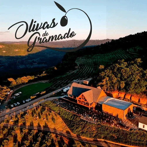 Experiência Olivas de Gramado